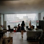 大连遮阳帘,大连窗帘安装,大连安装师傅接单电话,大连窗帘招标